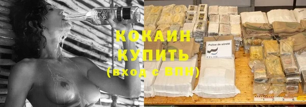 индика Абаза