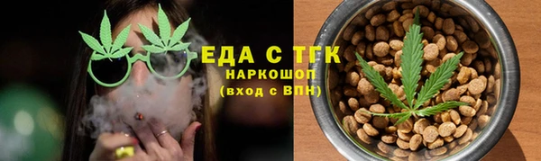 индика Абаза