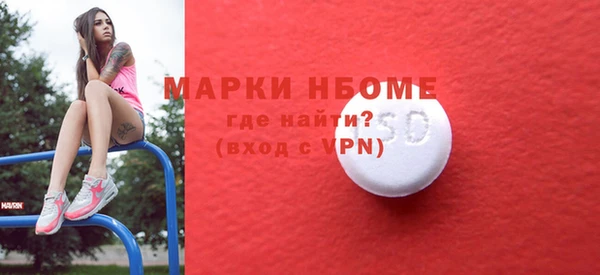 индика Абаза