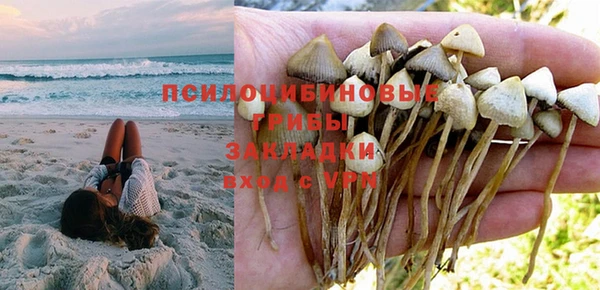 индика Абаза