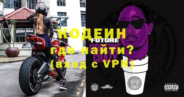 индика Абаза