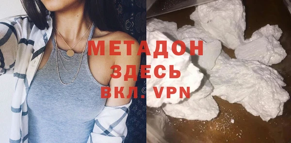 индика Абаза