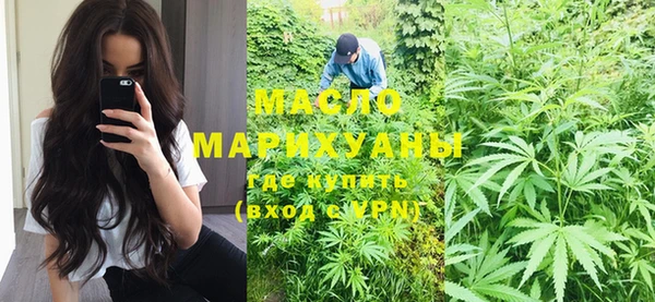 индика Абаза