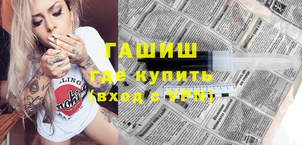 индика Абаза