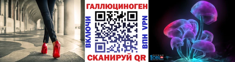мега онион как найти закладки Сусуман Псилоцибиновые грибы Magic Shrooms